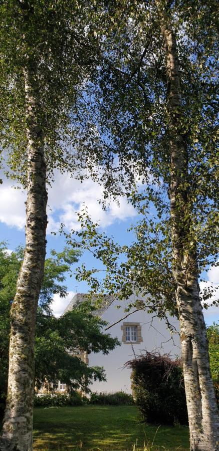 Bed and Breakfast Crown Roads Le Faouët Exteriér fotografie