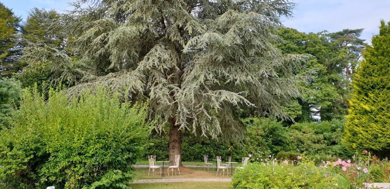 Bed and Breakfast Crown Roads Le Faouët Exteriér fotografie